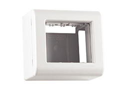 CAIXA SOBREPOR 2 POSTOS LIZ FLEX